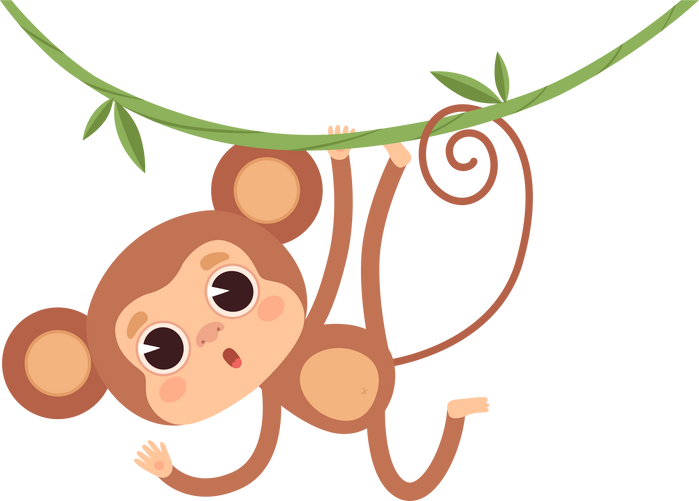 Cute monkeys Jungle wild animals baby little monkeys